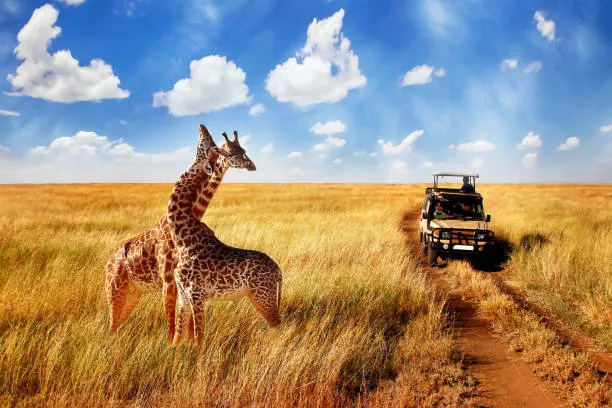 Tanzania Seasons