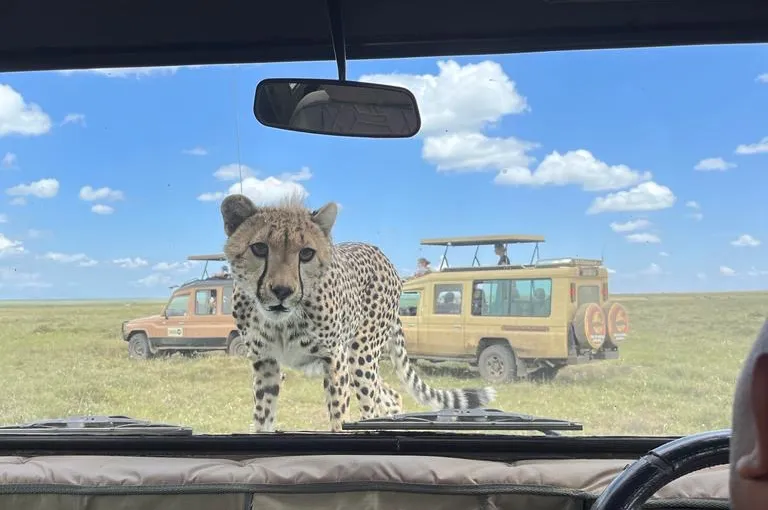 Game Drives in Tanzania