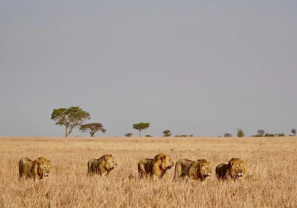 Serengeti National Park