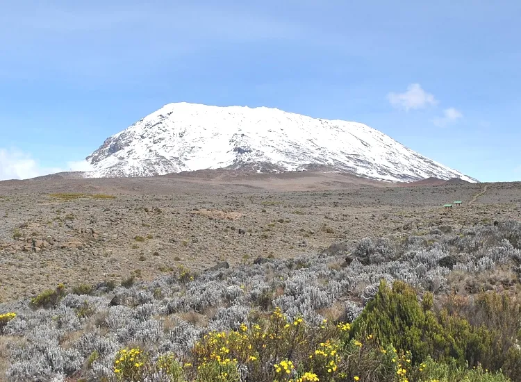 Kilimanjaro National Park