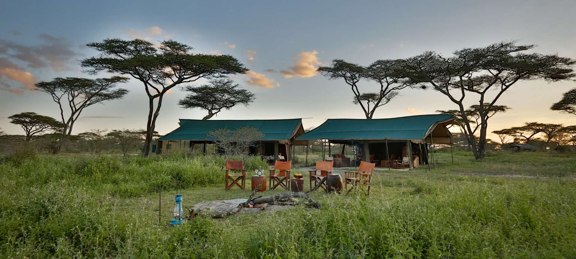 5 Days Budget Safari