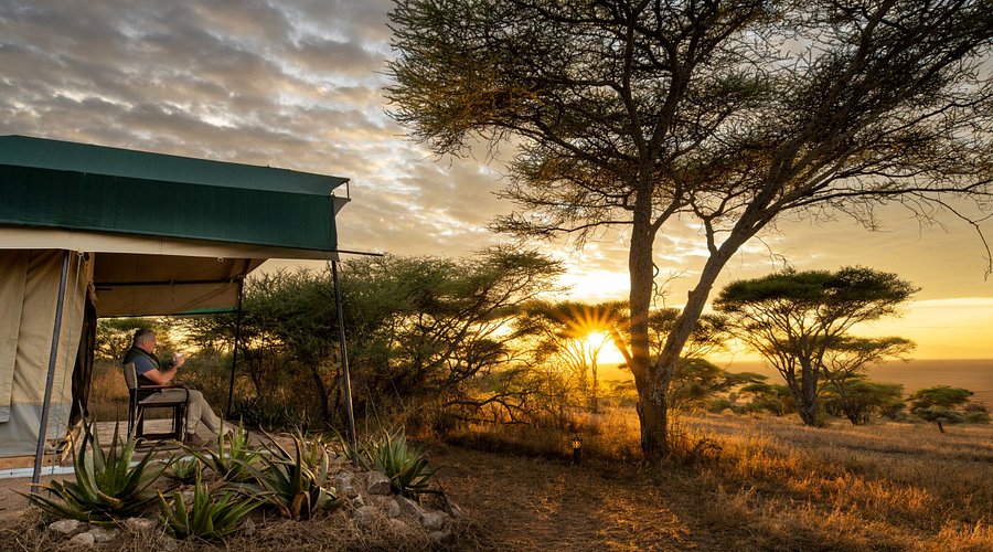 6 Days Best Value Safari