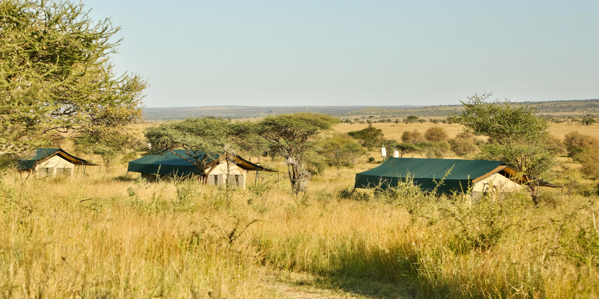 4 Days Express Budget Safari