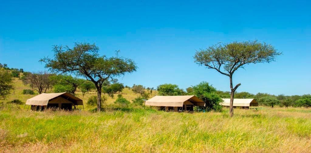 5 Days Manyara & Ngorongoro Budget