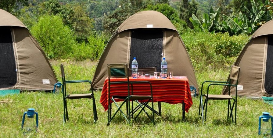 Camping Safari