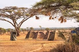 6 Days Classic Camping Safari