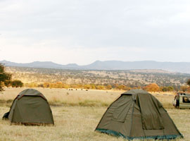 5 Days Tarangire & Manyara Camping