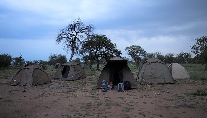 4 Days Express Camping Safari
