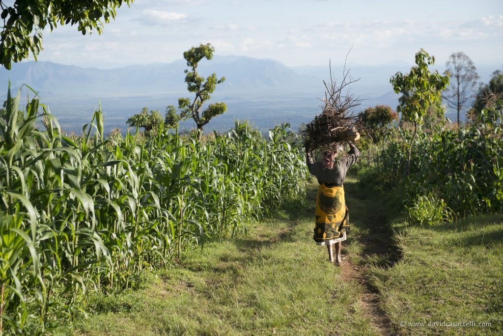 5 Days Chagga & Kilimanjaro Footslopes