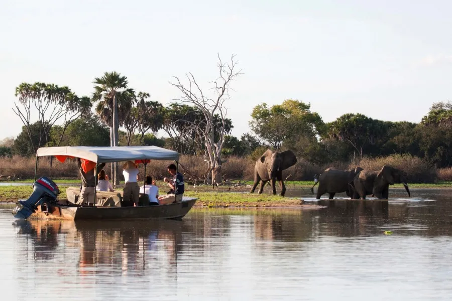 Nyerere National Park (Selous)