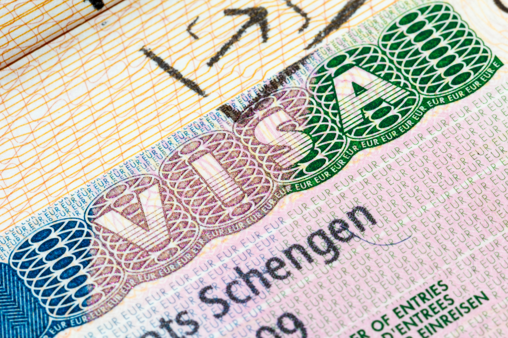 Visa Application